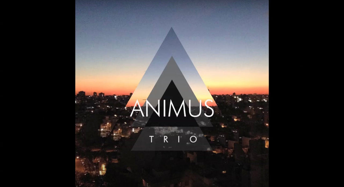 Ánimus Trío
