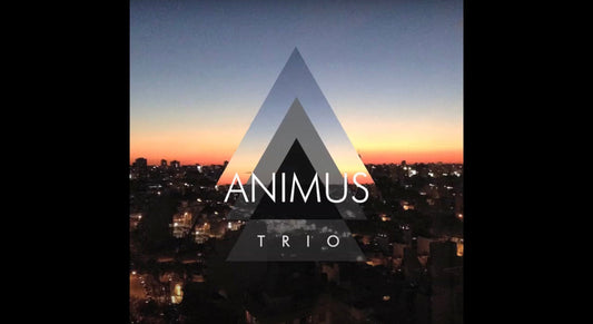 Ánimus Trío